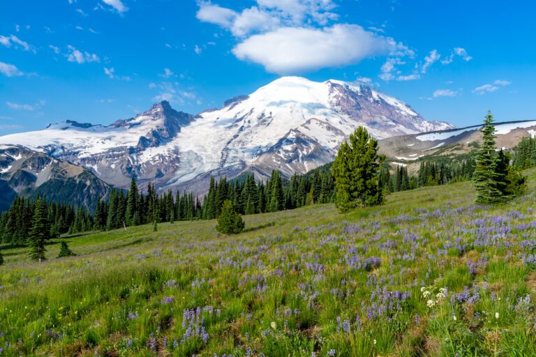 20 Unforgettable Hikes in Mount Rainier National Park
