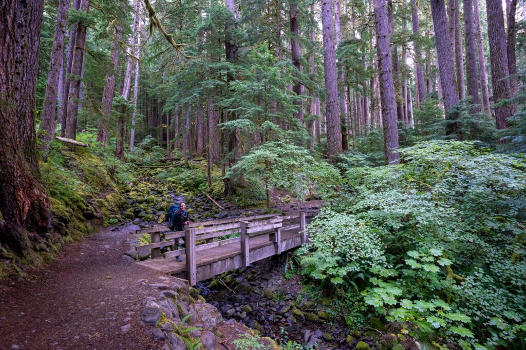 13 Amazing Hikes in Olympic National Park