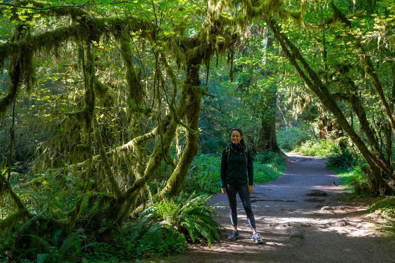 Best Hikes In Olympic National Park The Trails You Can’T Afford To Miss - y2ajhfv