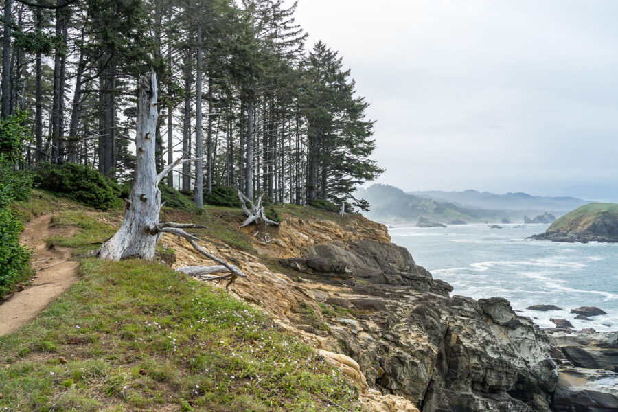 The 17 Best Hikes on the Oregon Coast: Complete Oregon Coast Hiking Guide