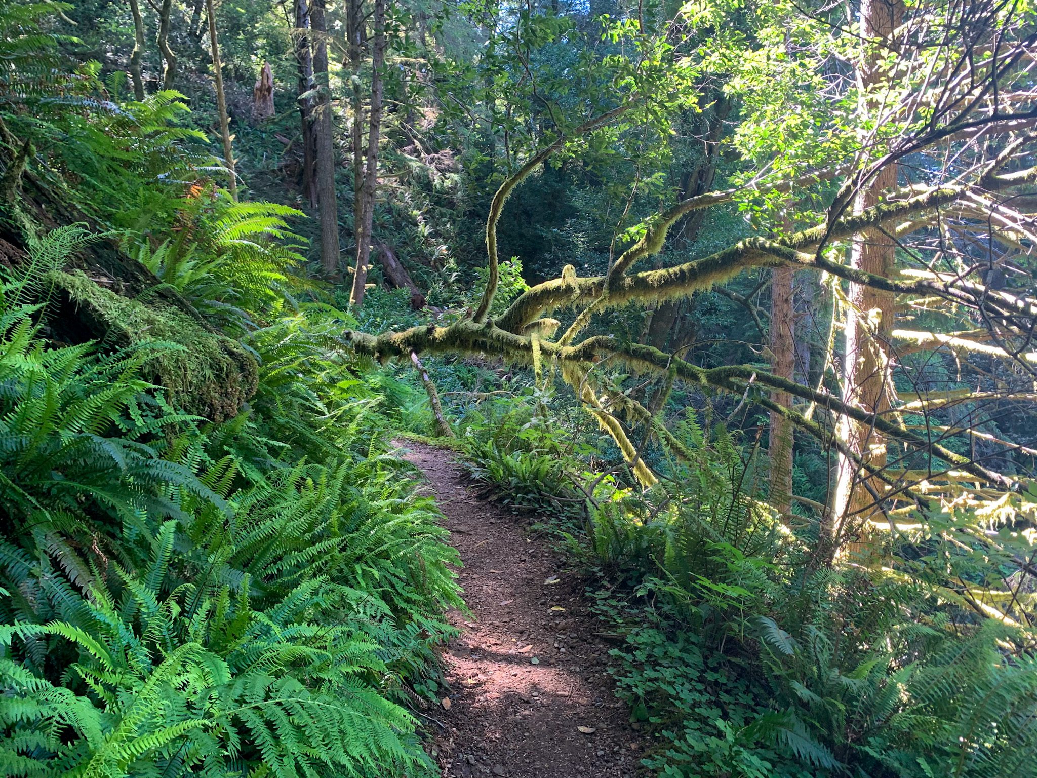 The 17 Best Hikes On The Oregon Coast: Complete Oregon Coast Hiking Guide