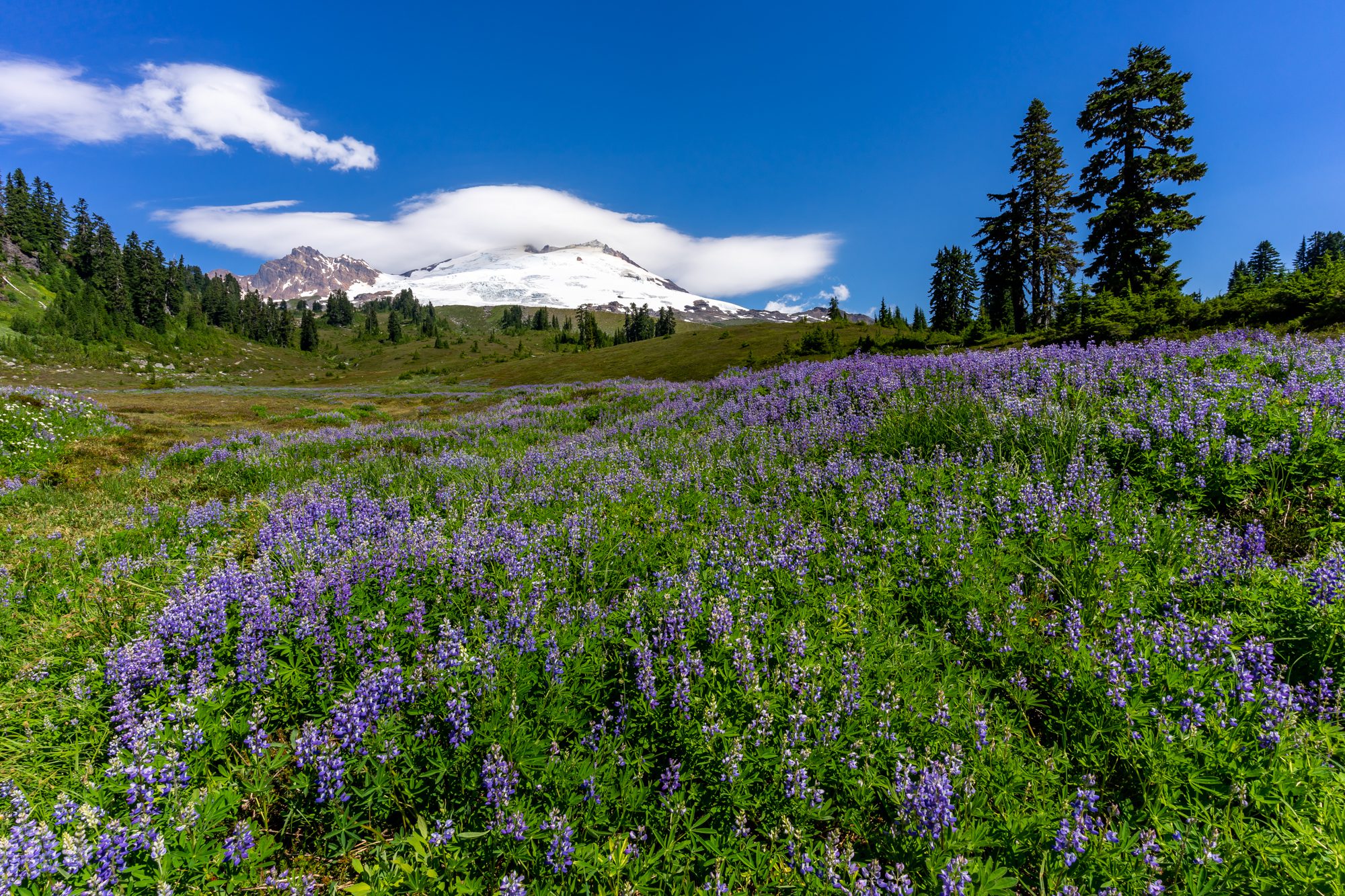 9 Incredible Hikes near Mt. Baker: A Complete Guide (2023)