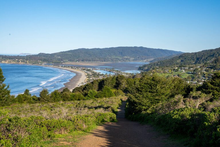 14 Amazing Day Trips From San Francisco: The Best Day Trips in the Bay Area