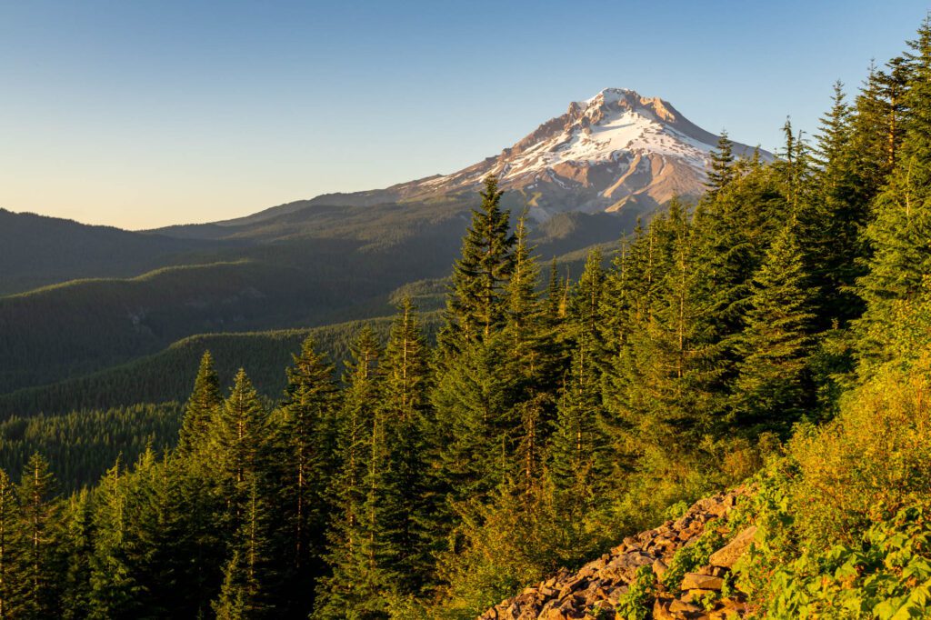 The 11 Best Hikes at Mt. Hood Easy Hikes + Waterfalls