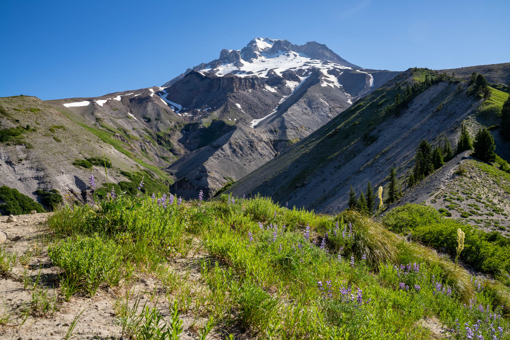 The 11 Best Hikes at Mount Hood A Complete Hiking Guide