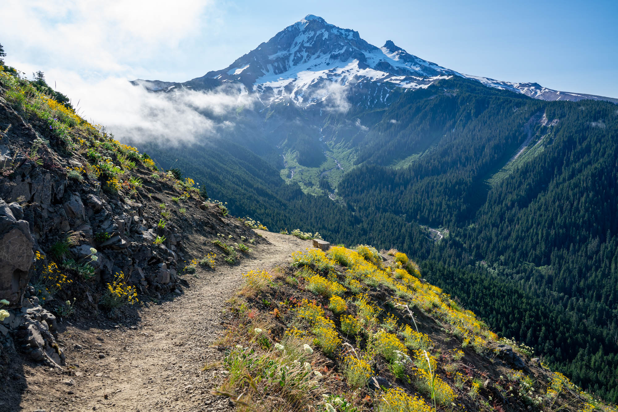 Discover Tranquil Trails And Scenic Strolls: Your Guide To Local Walking Destinations