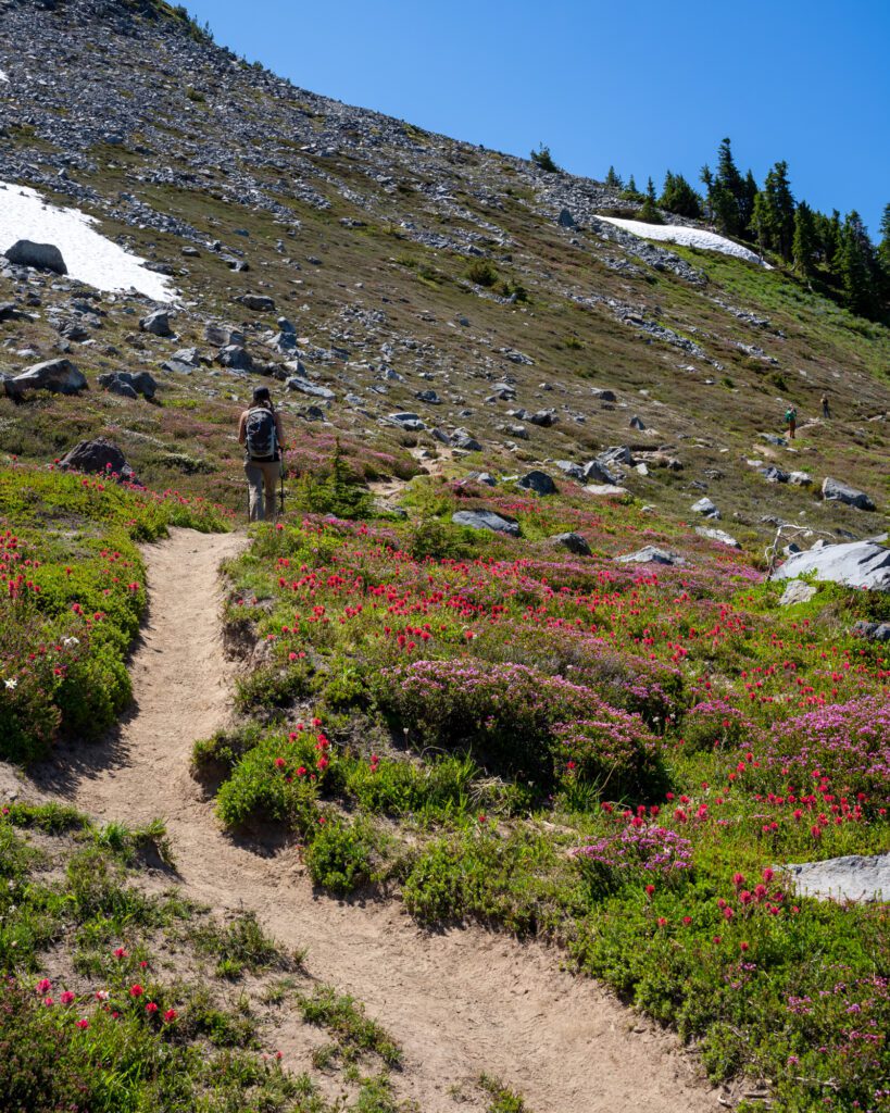 The 11 Best Hikes at Mt. Hood Easy Hikes + Waterfalls