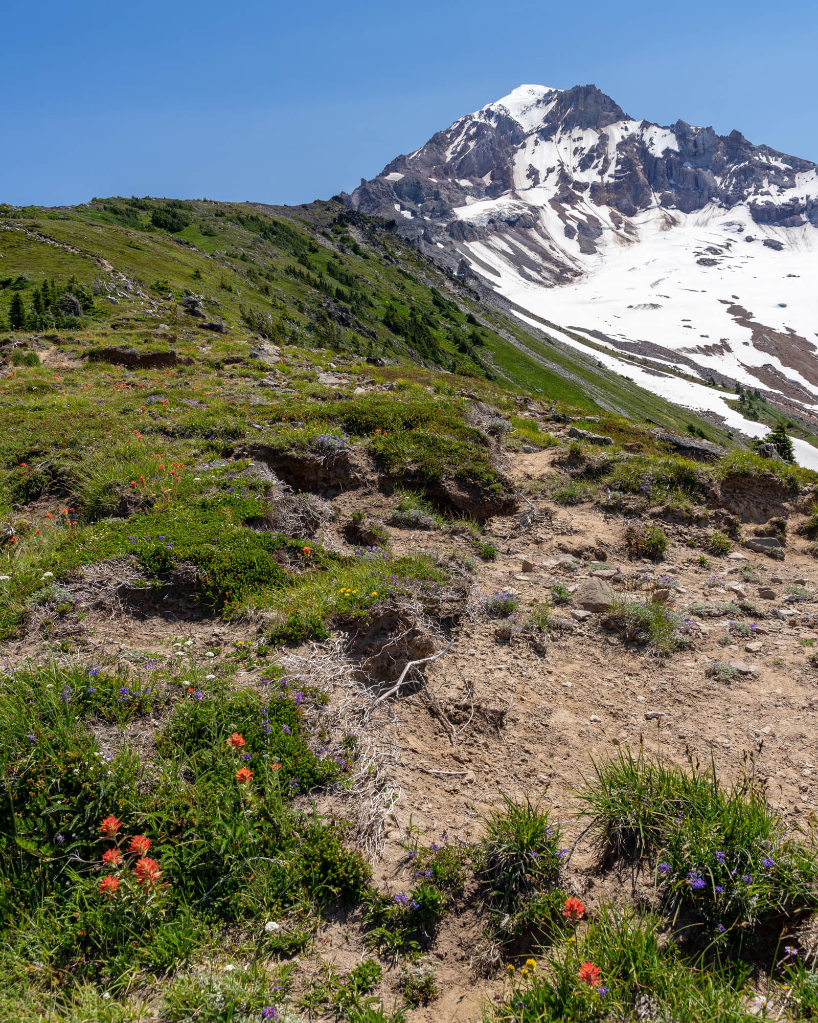 best hikes near mount hood