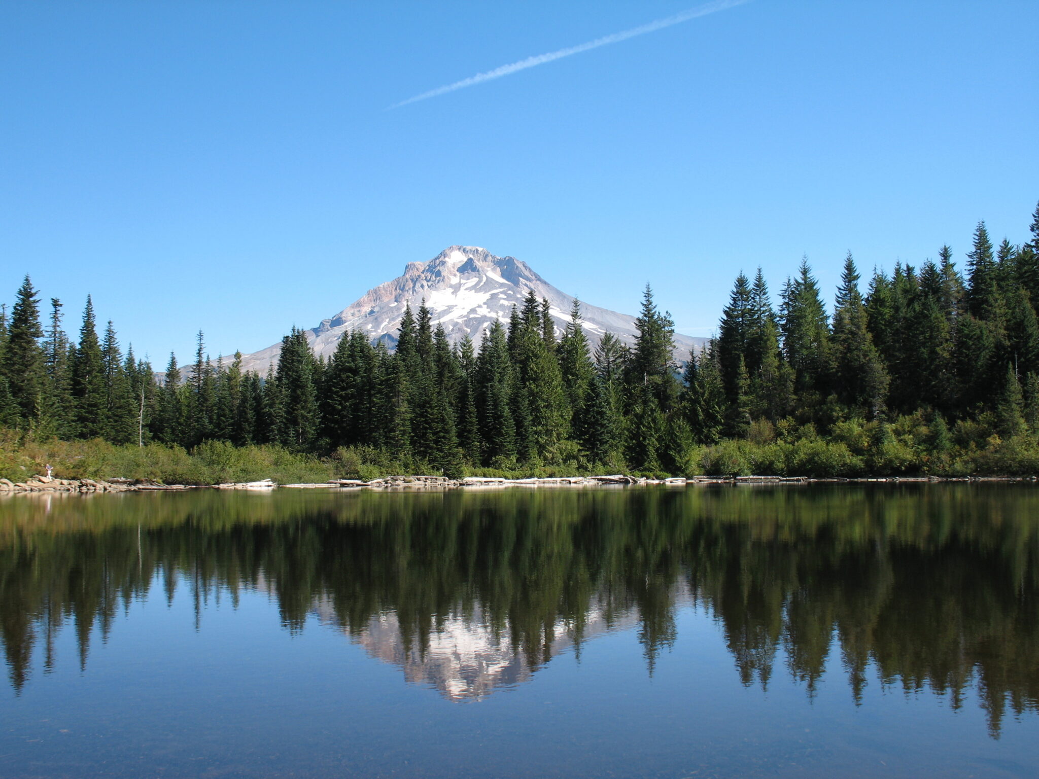 The 11 Best Hikes at Mount Hood: A Complete Hiking Guide