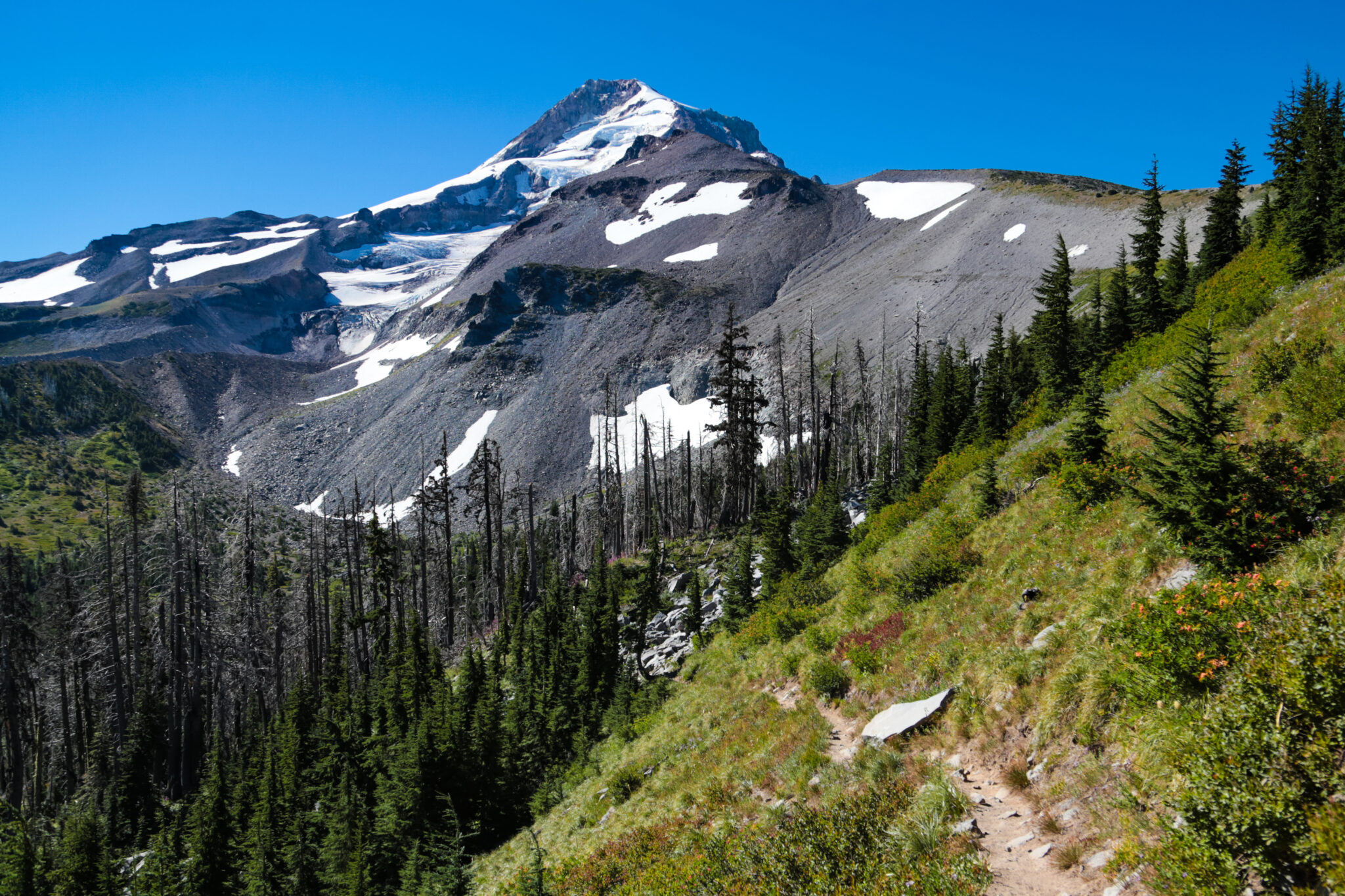 The 11 Best Hikes at Mount Hood A Complete Hiking Guide