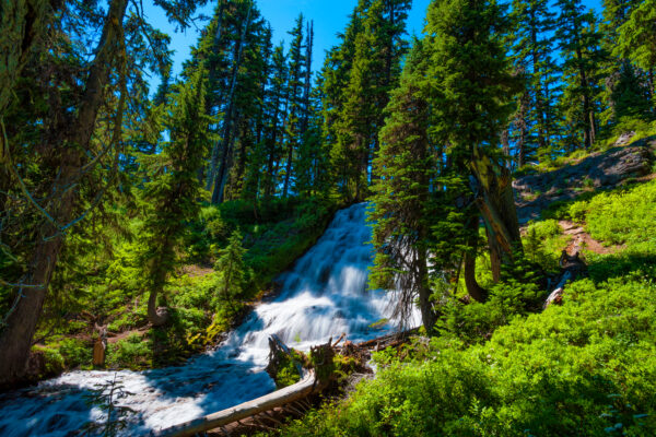 best hikes near mount hood