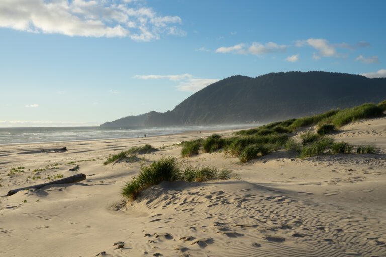How to Plan an Unforgettable Oregon Coast Road Trip