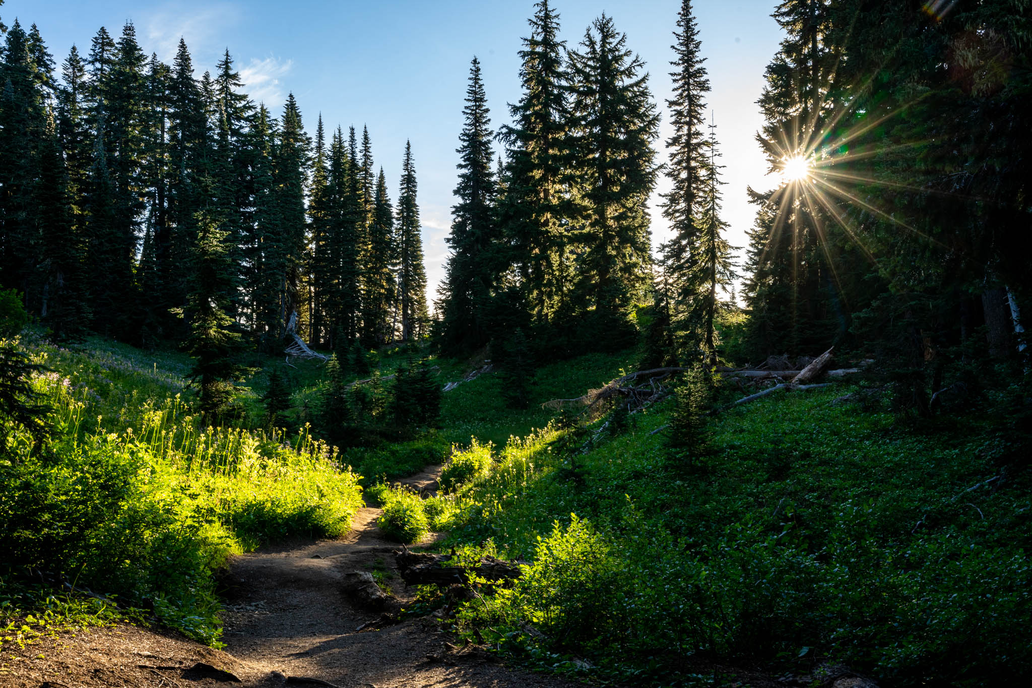 Hiking the Amazing Naches Peak Loop: Complete Trail Guide