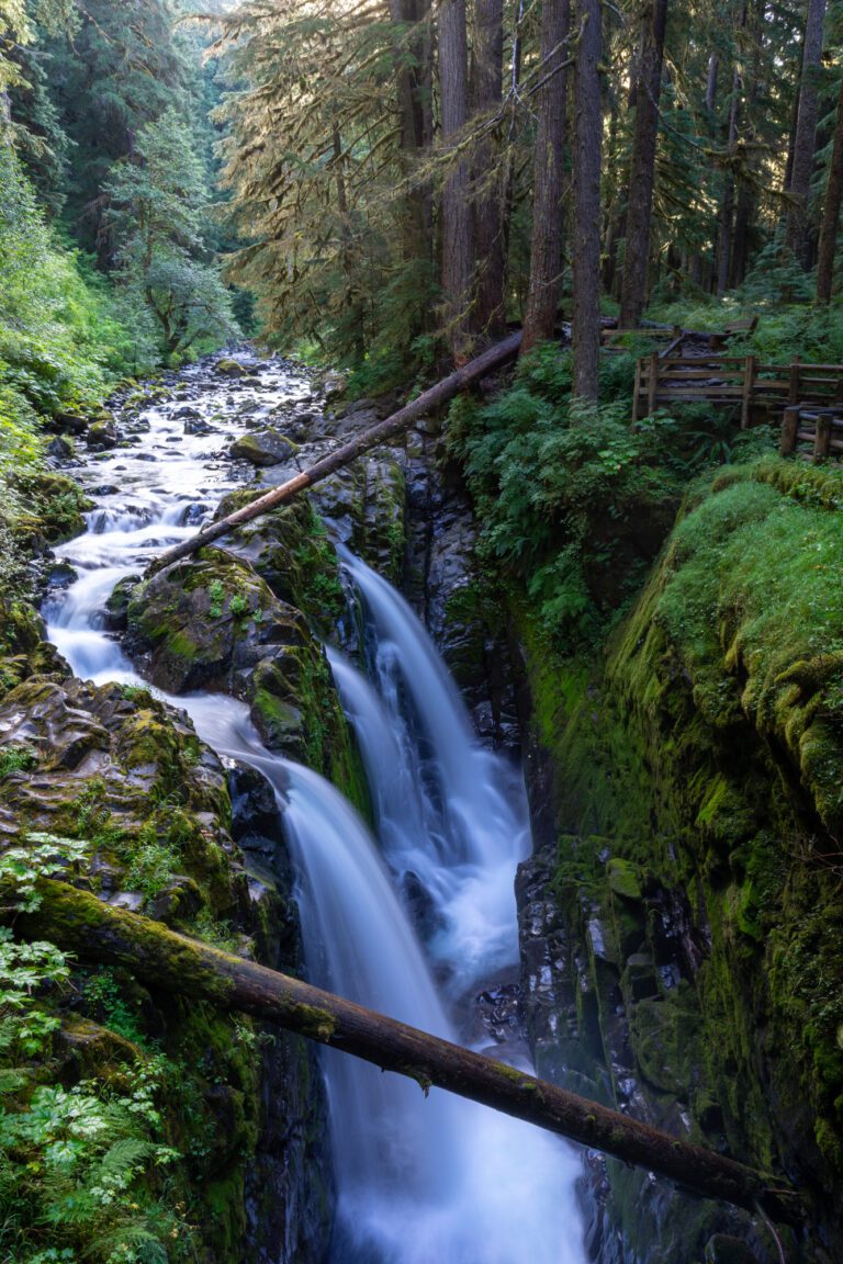 How to See the 3 Amazing National Parks in Washington State