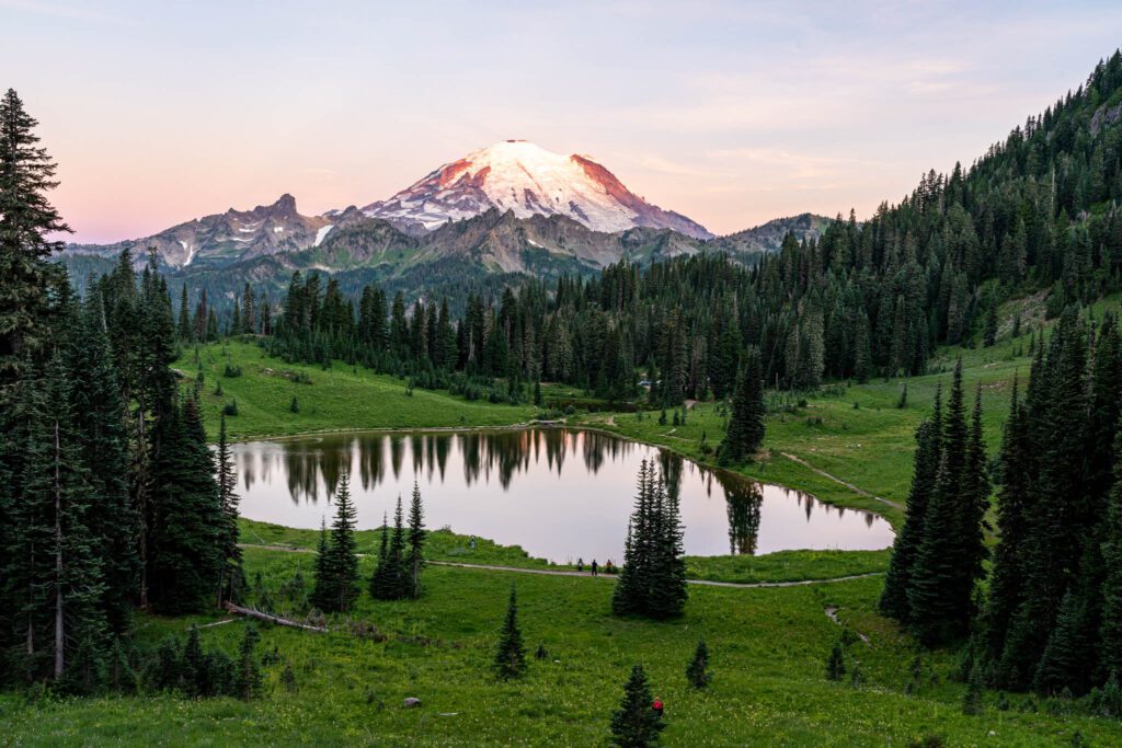 are dogs allowed in national parks in washington