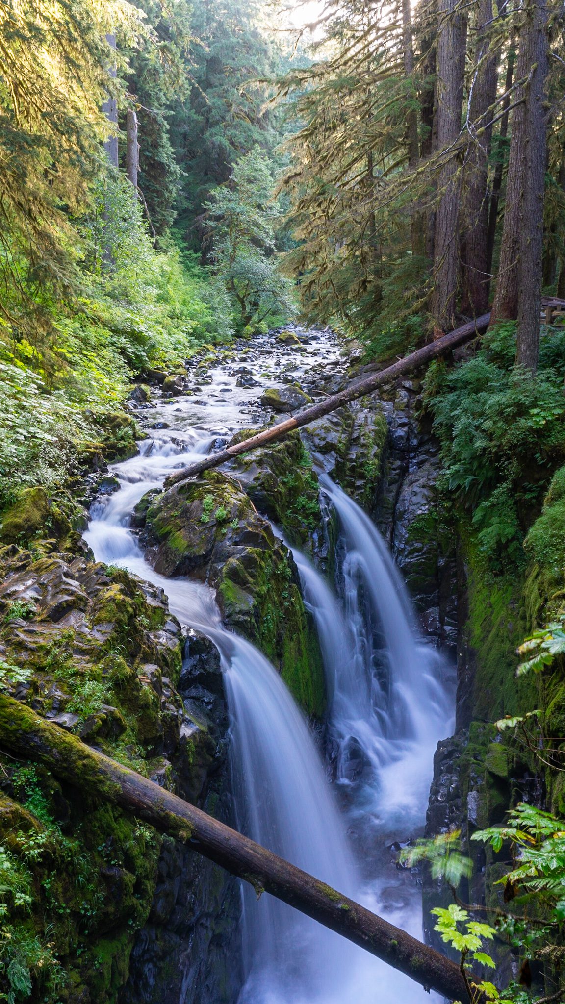 15 Incredible Waterfalls in Washington For Your Bucket List