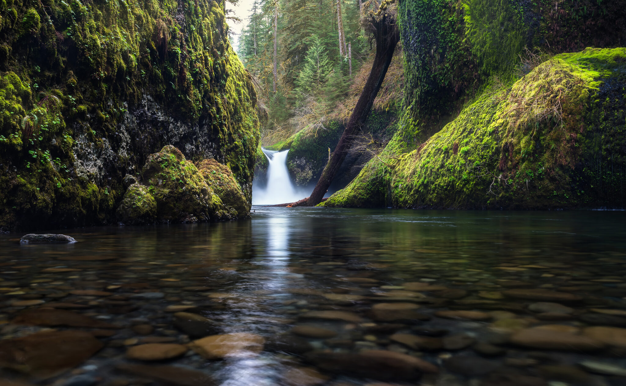 15 Spectacular Waterfalls In Oregon To Explore Now