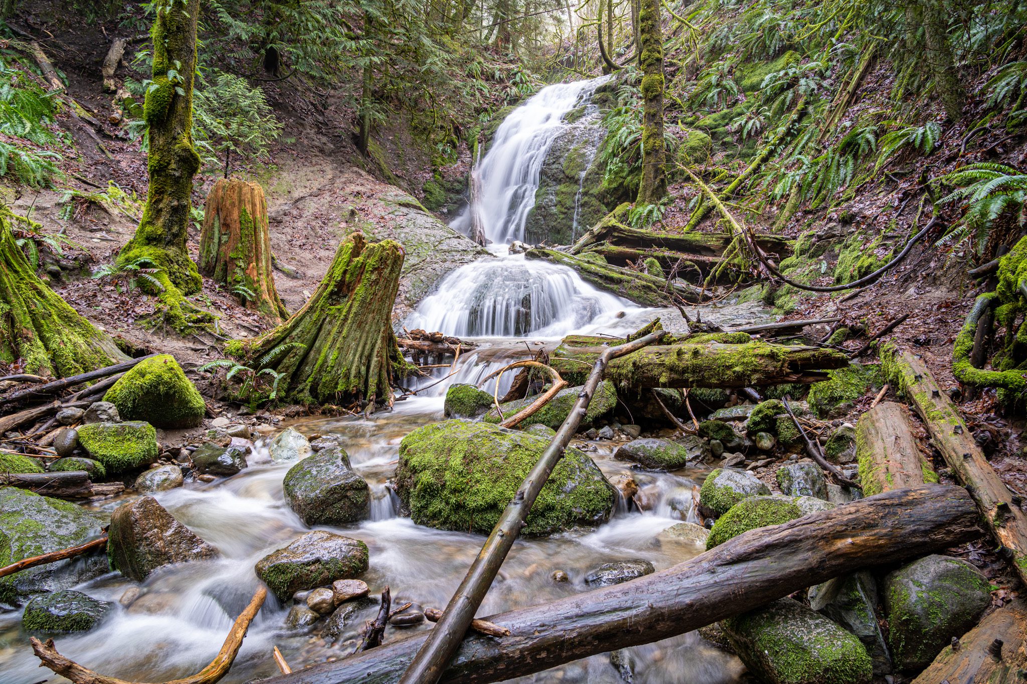 The 20 Best Hikes near Seattle A Complete Hiking Guide