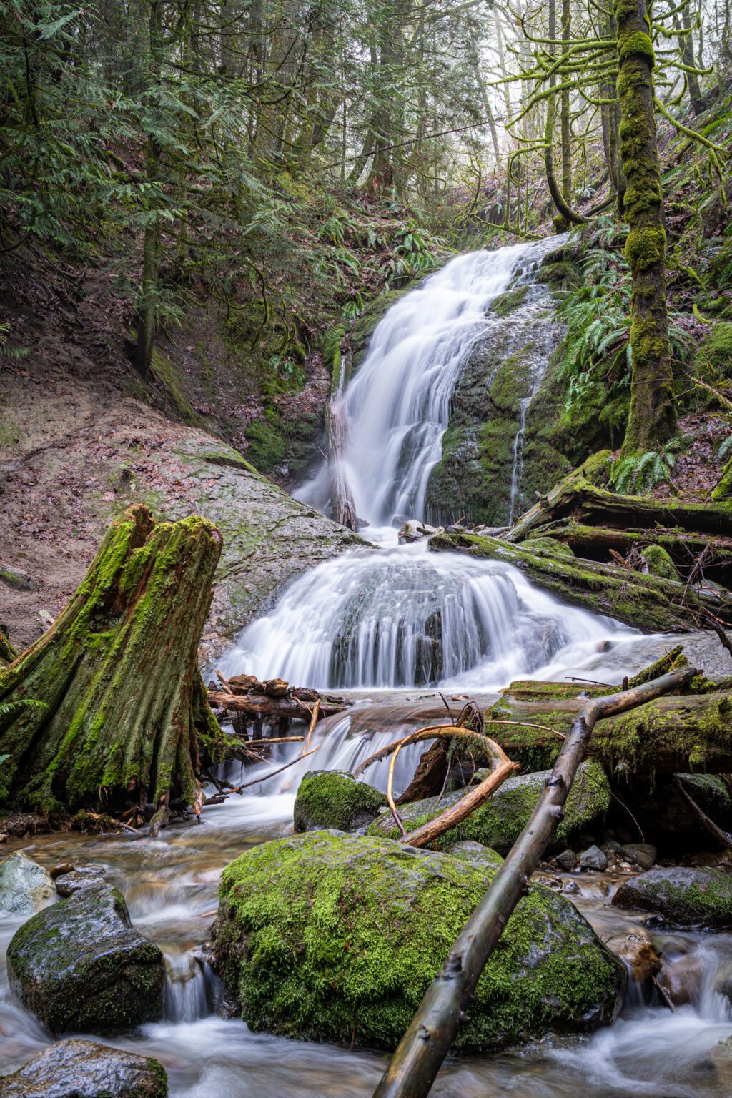 The 20 Best Hikes near Seattle A Complete Hiking Guide