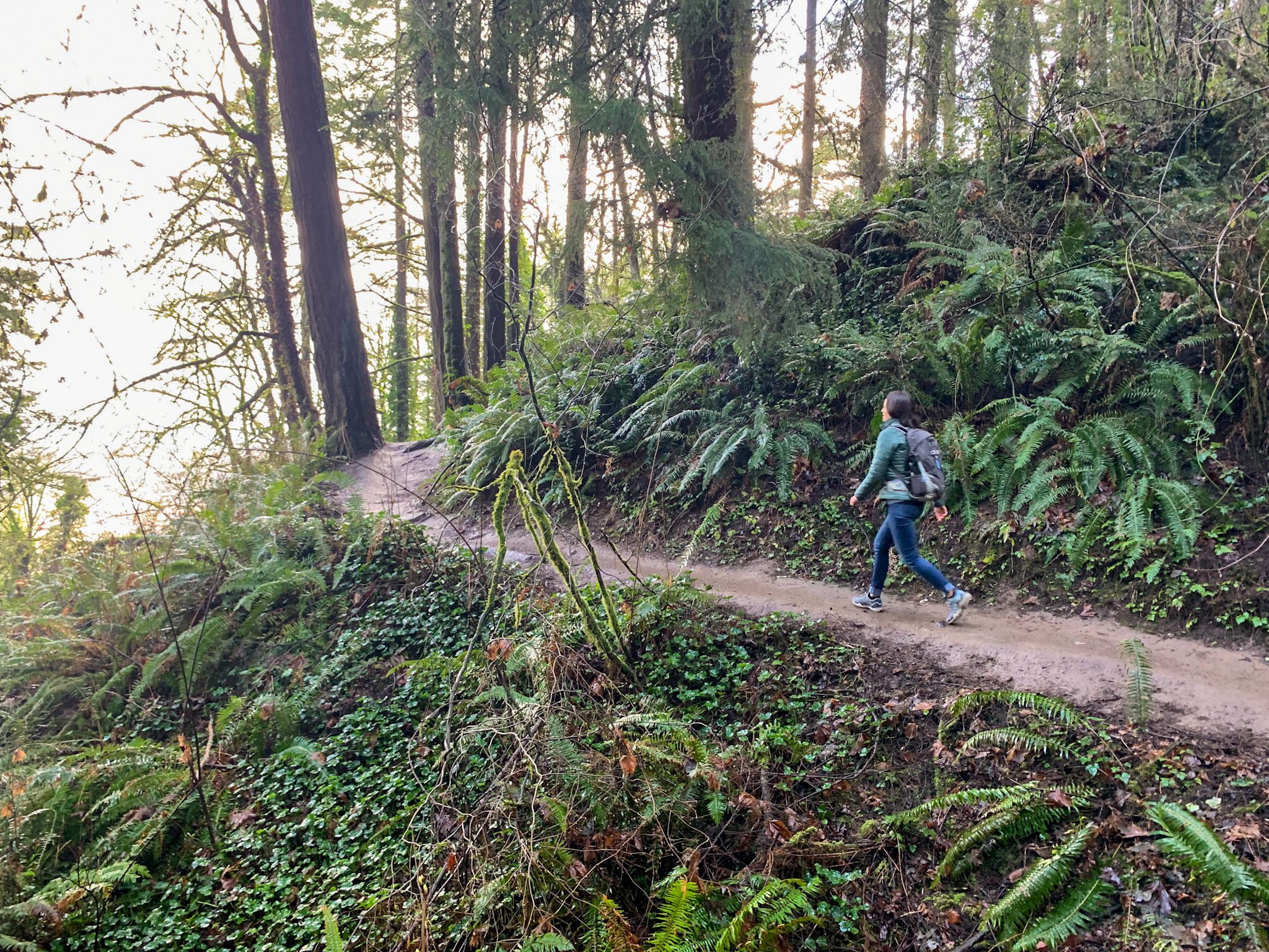 This Forest Park Portland OR Hike Changed My Life (Seriously!)
