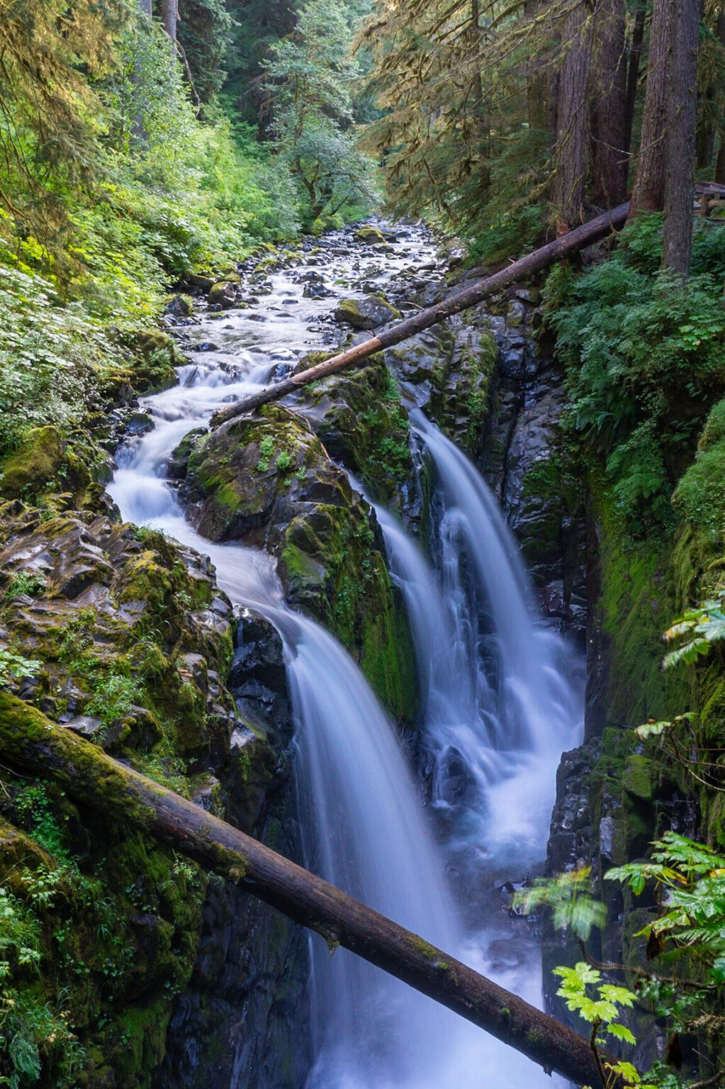 15 Incredible Waterfalls in Washington For Your Bucket List