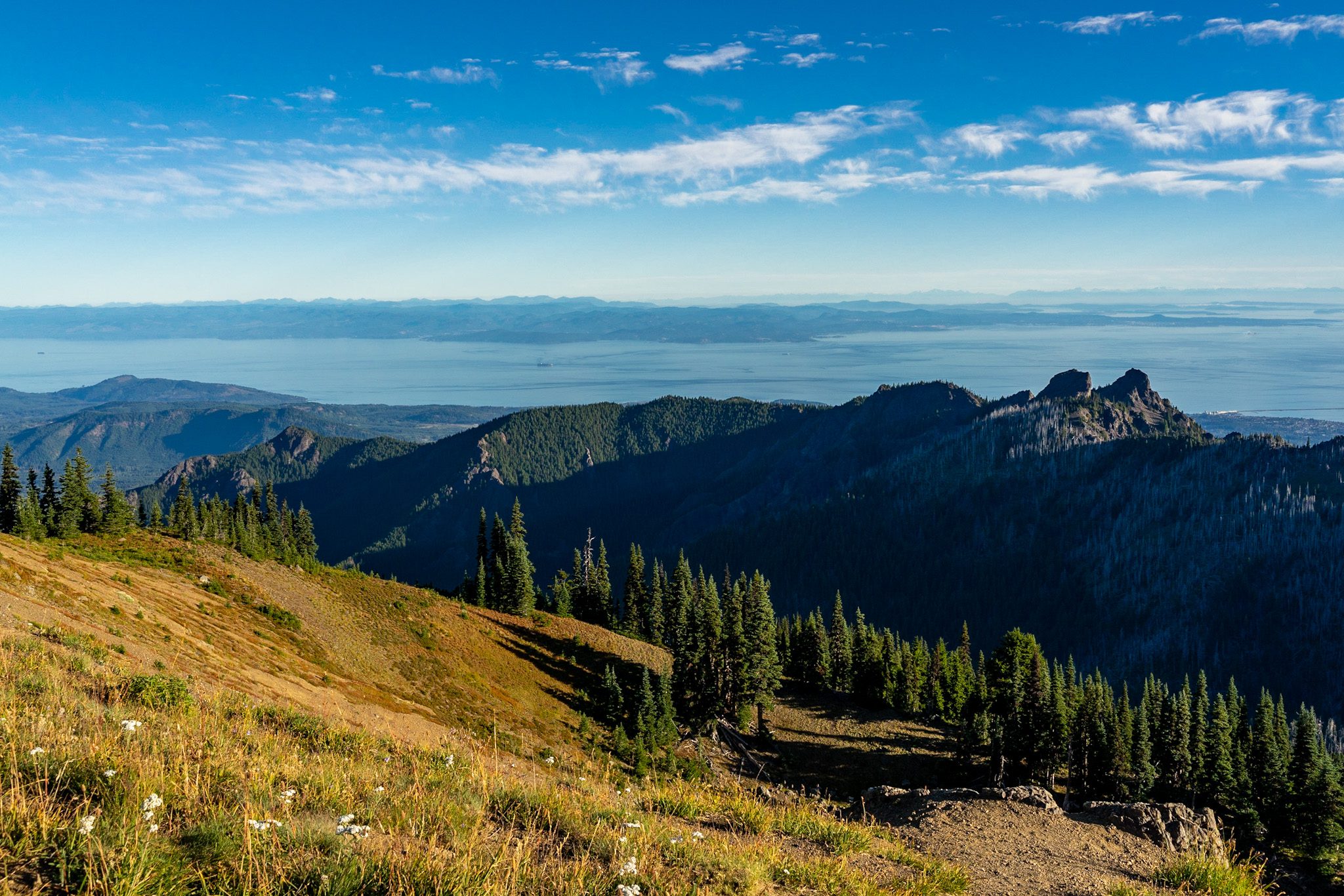 18 Easy Hikes In Washington State (Perfect For Beginners)