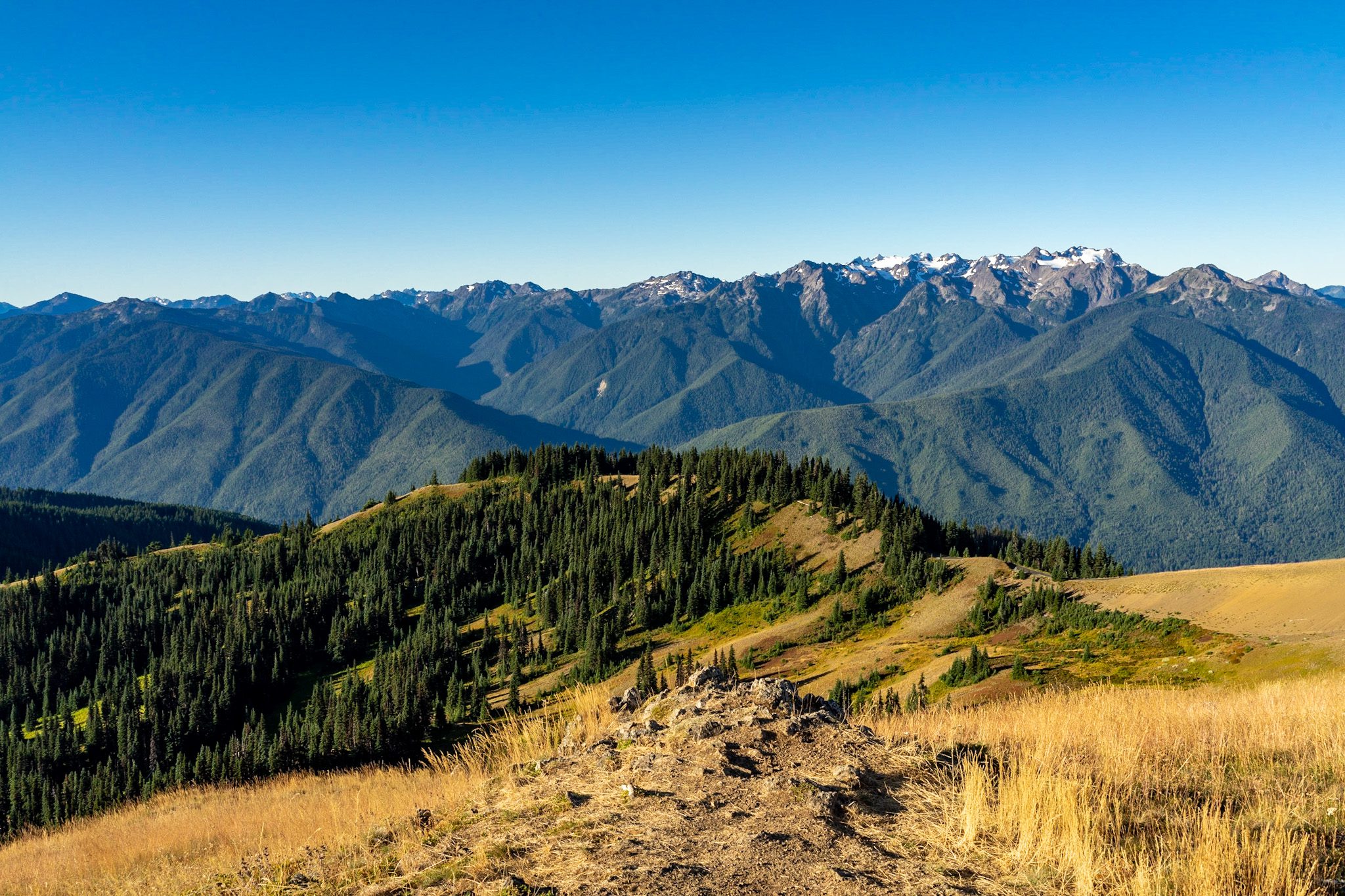 18 Easy Hikes In Washington State (Perfect For Beginners)