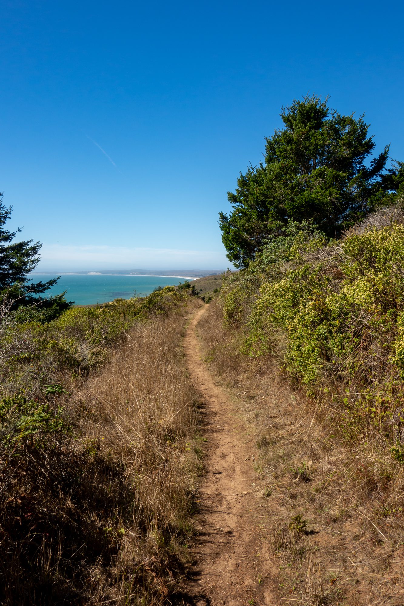 The Best Things to Do in Point Reyes What to Do & See