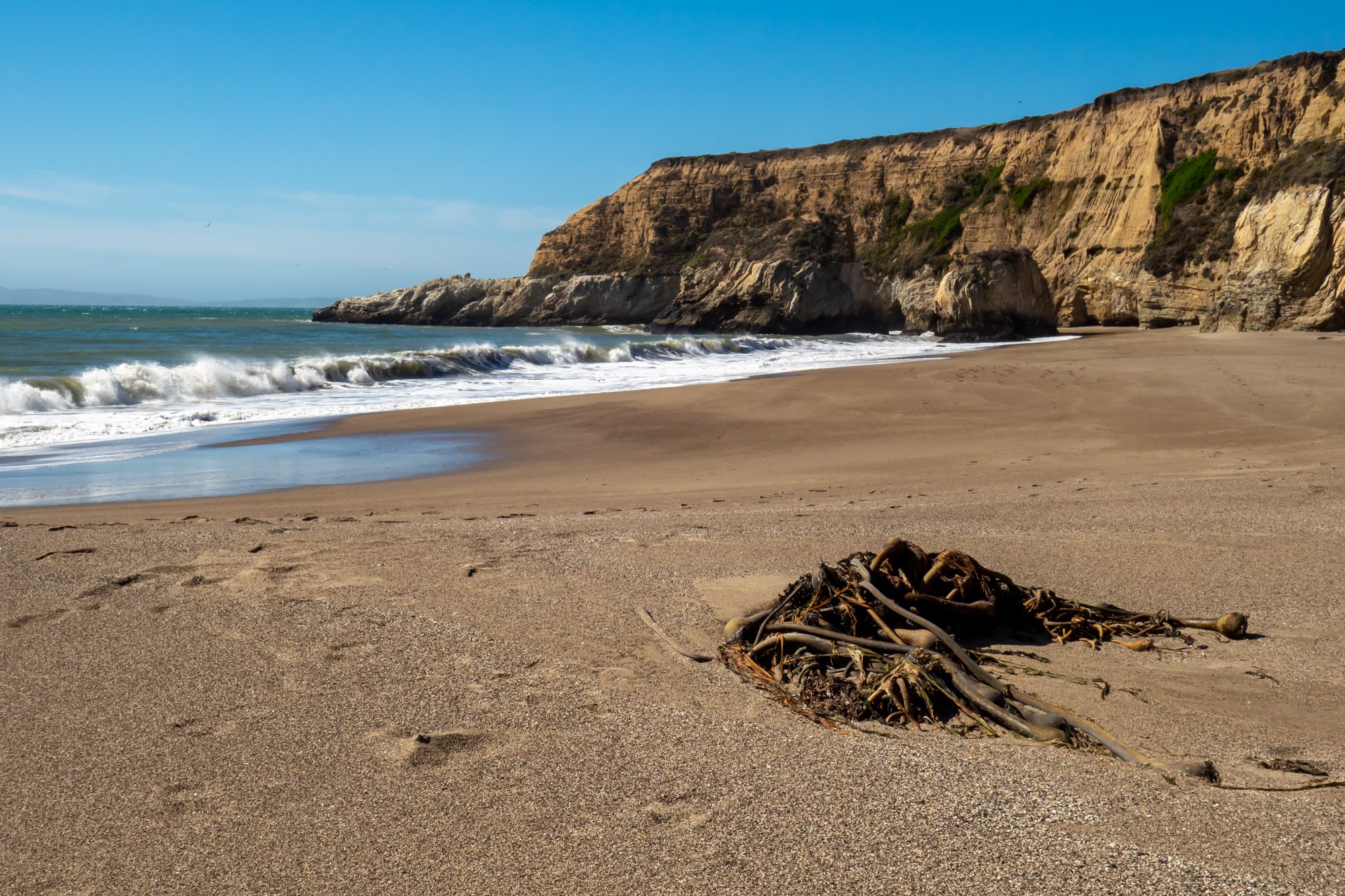 The Best Things to Do in Point Reyes: What to Do & See