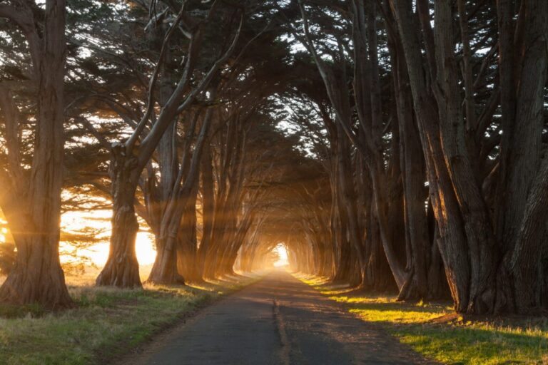 Where To Stay In Point Reyes: The 16 Best Places To Stay