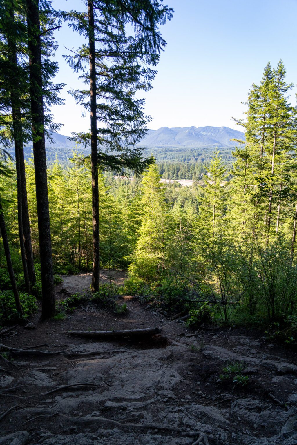 The 20 Best Hikes Near Seattle: A Complete Hiking Guide