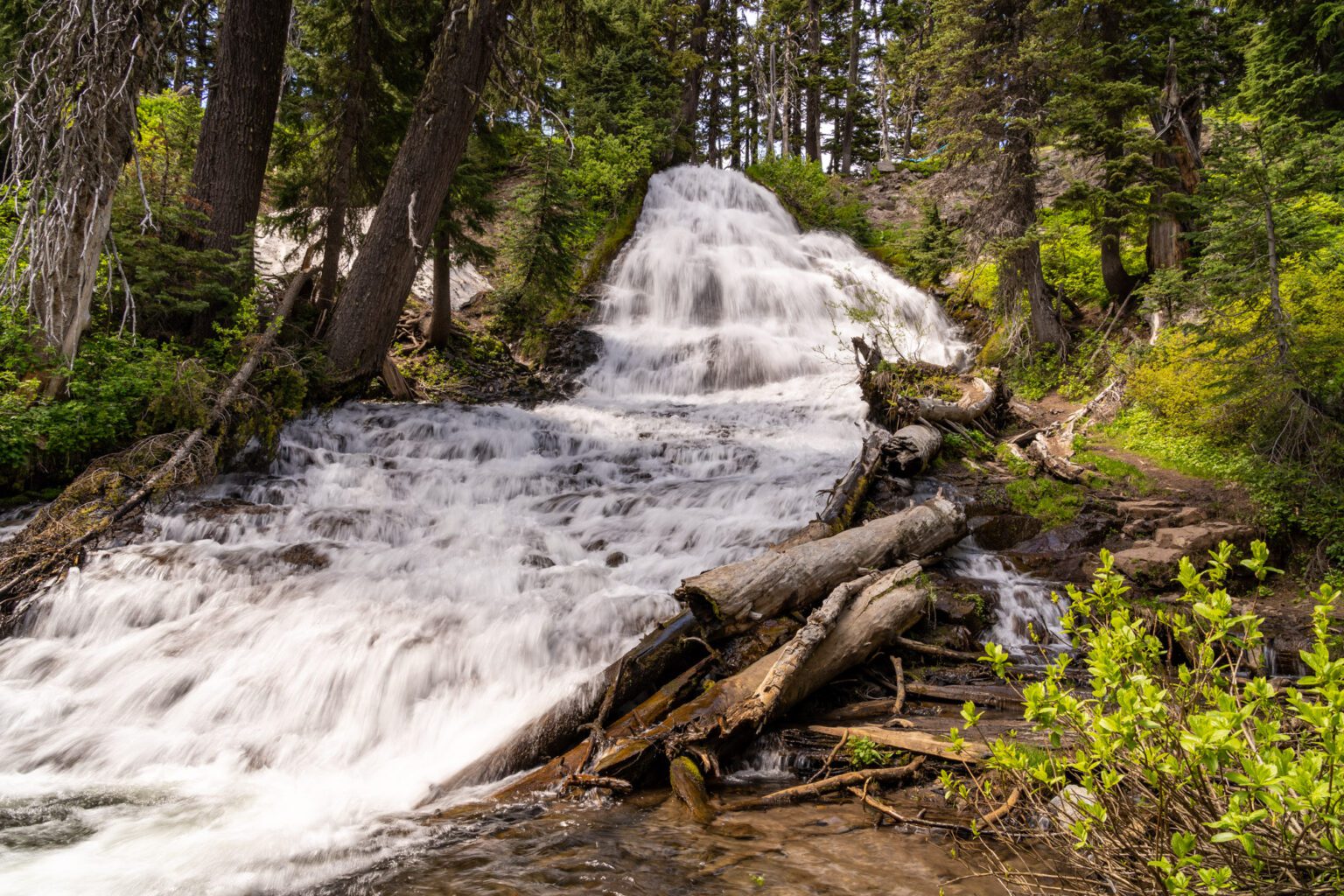 The 11 Best Hikes at Mount Hood: A Complete Hiking Guide