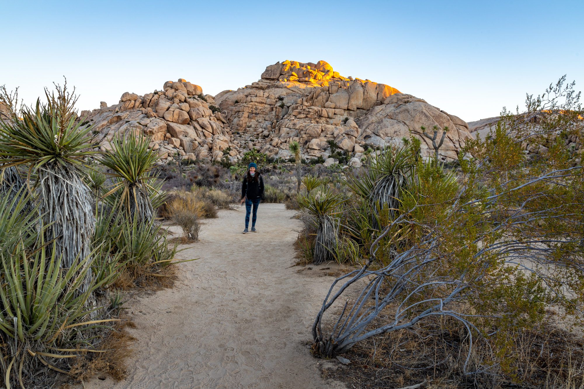 Where to Stay near Joshua Tree A Complete Guide (2023)