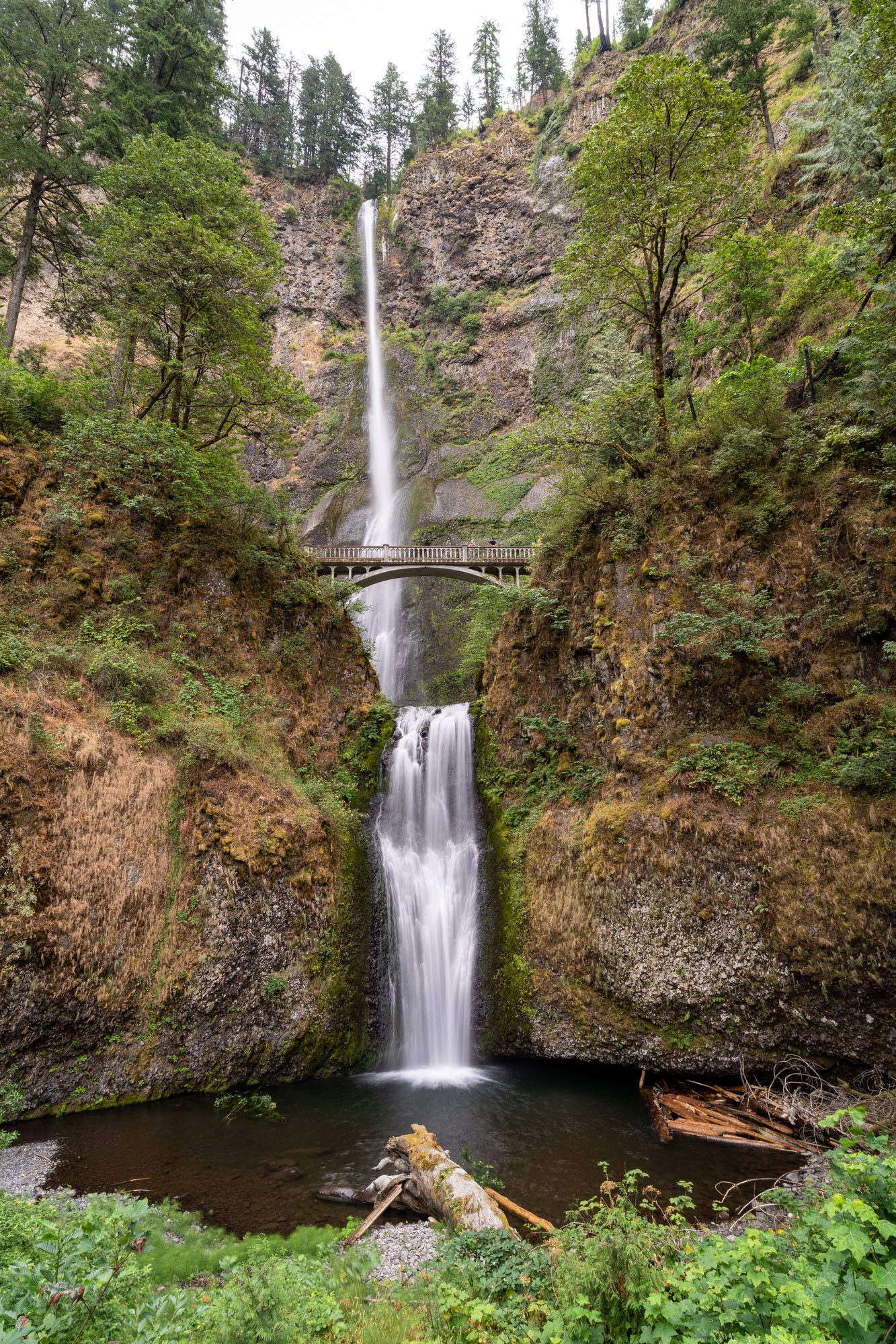 The 13 Best Hikes in Portland: Complete Portland Hiking Guide