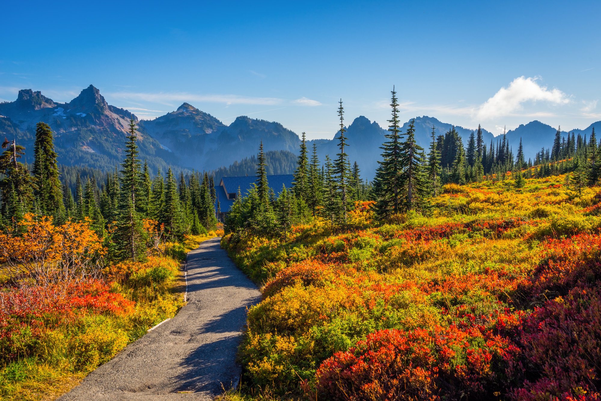 What is the Best Time to Visit Mount Rainier? Complete Guide